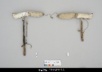 藏品(人形淨琉璃一組-左手)的圖片